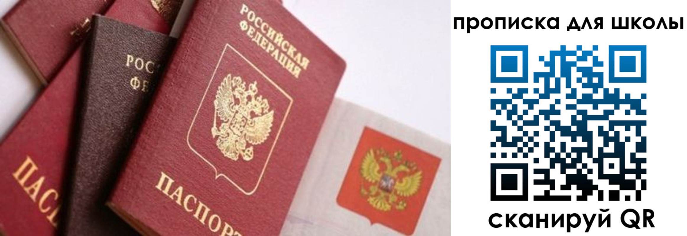 прописка поиск в Михайловке